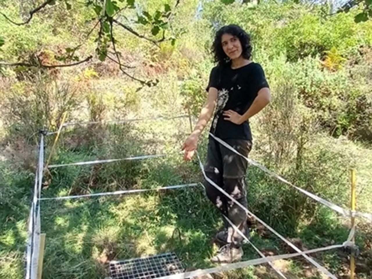 Fotografia de Avenc Nº3 de la Roca Sabeia