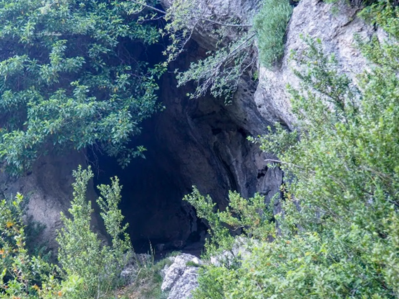 Fotografia de Cova del Bassís del Marturi