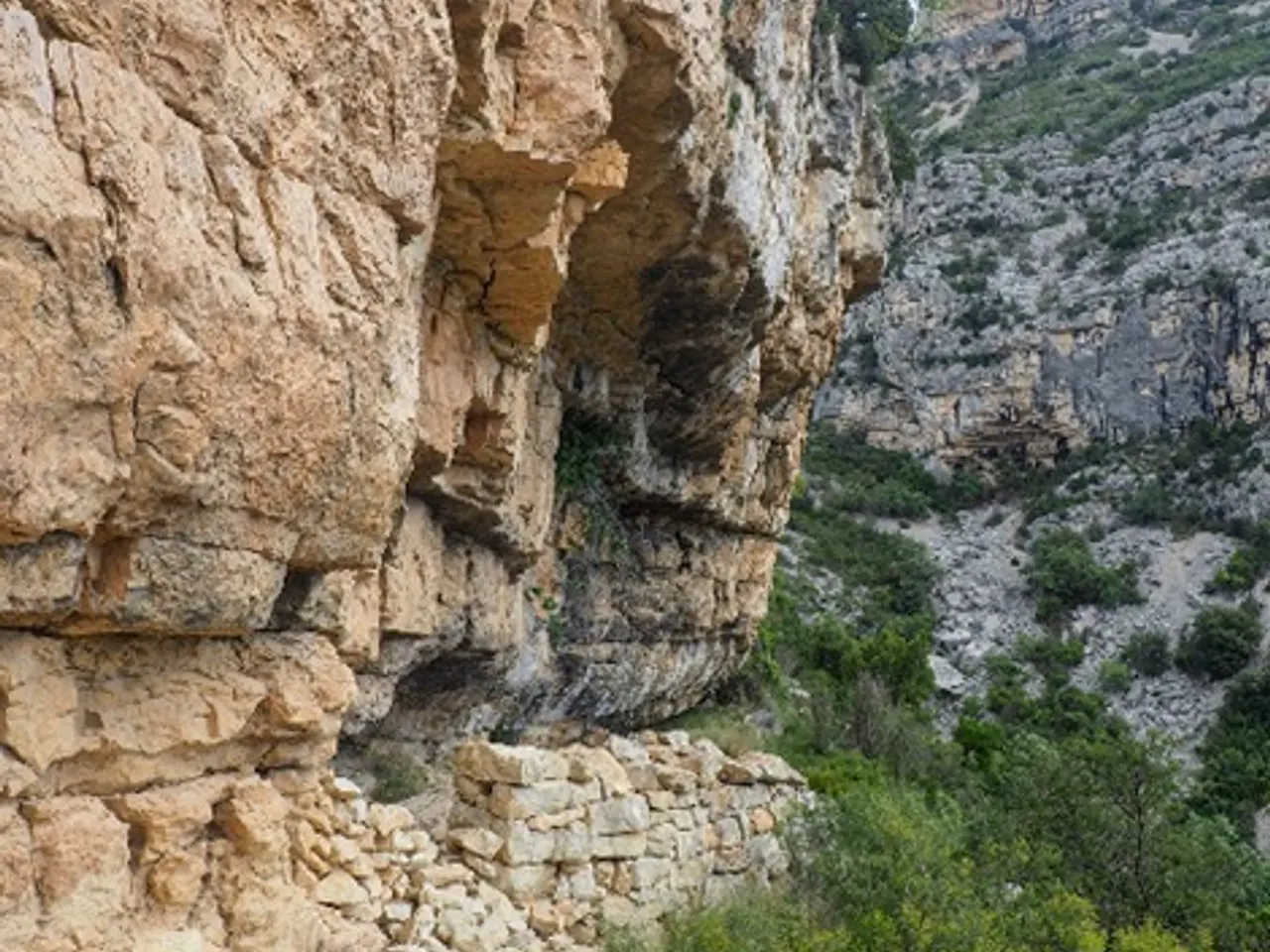 Fotografia de Cova de la Cabra