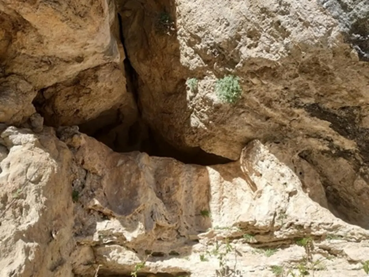 Fotografia de Cova Nº2 de la Núria