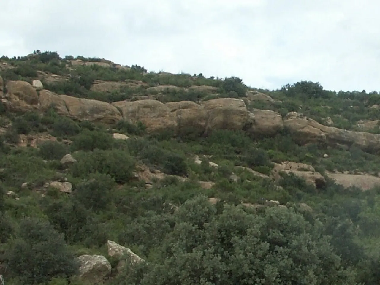 Photograph of Cova de Puiganseric