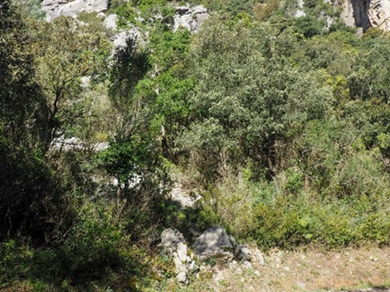 Fotografia de Forat Roig