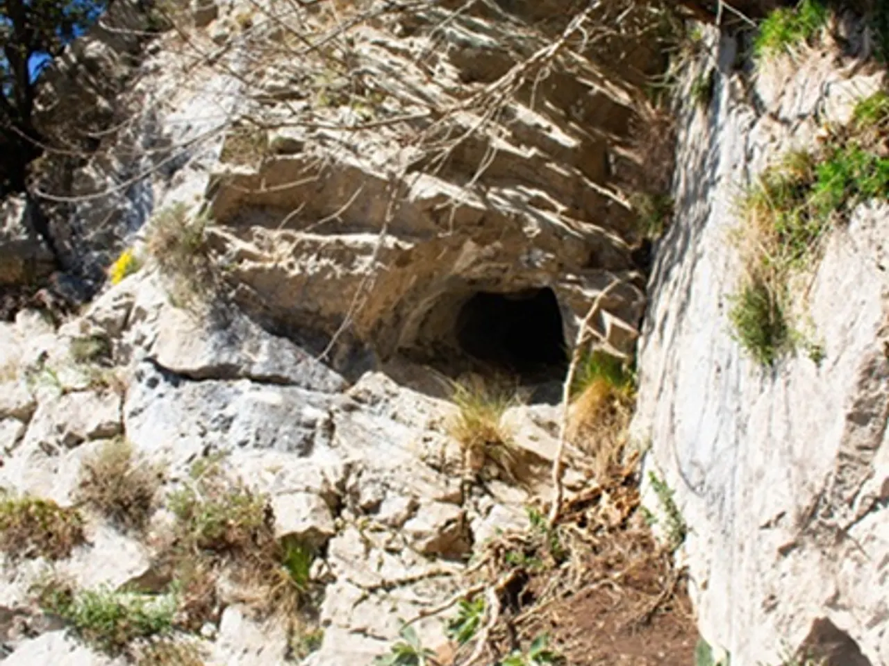 Fotografia de Cova de Toralloles