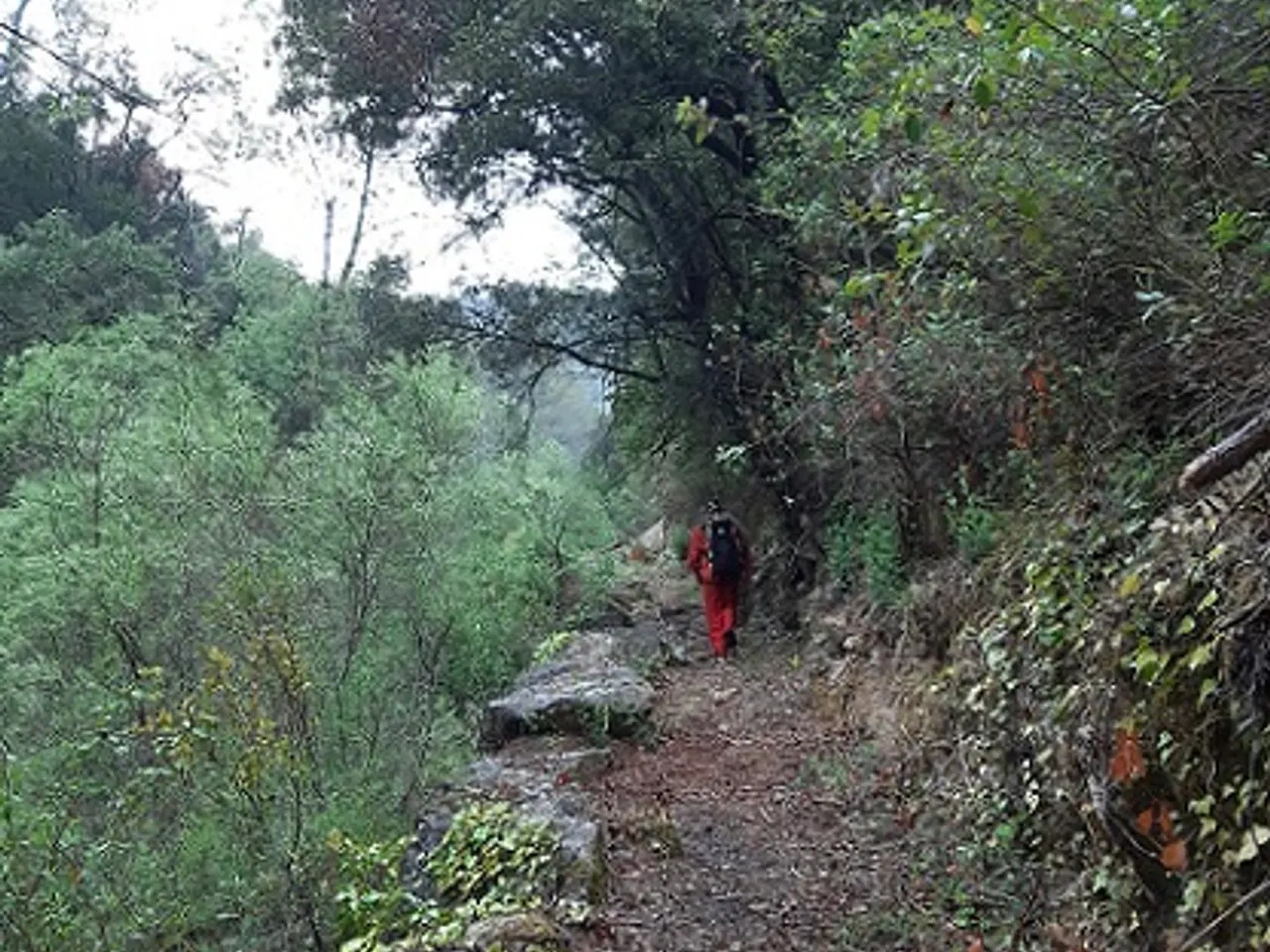 Fotografía de BALCÓ, AVENC DEL