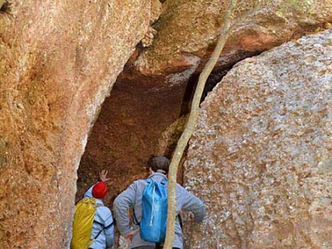 Photographie de CAU, COVA DEL