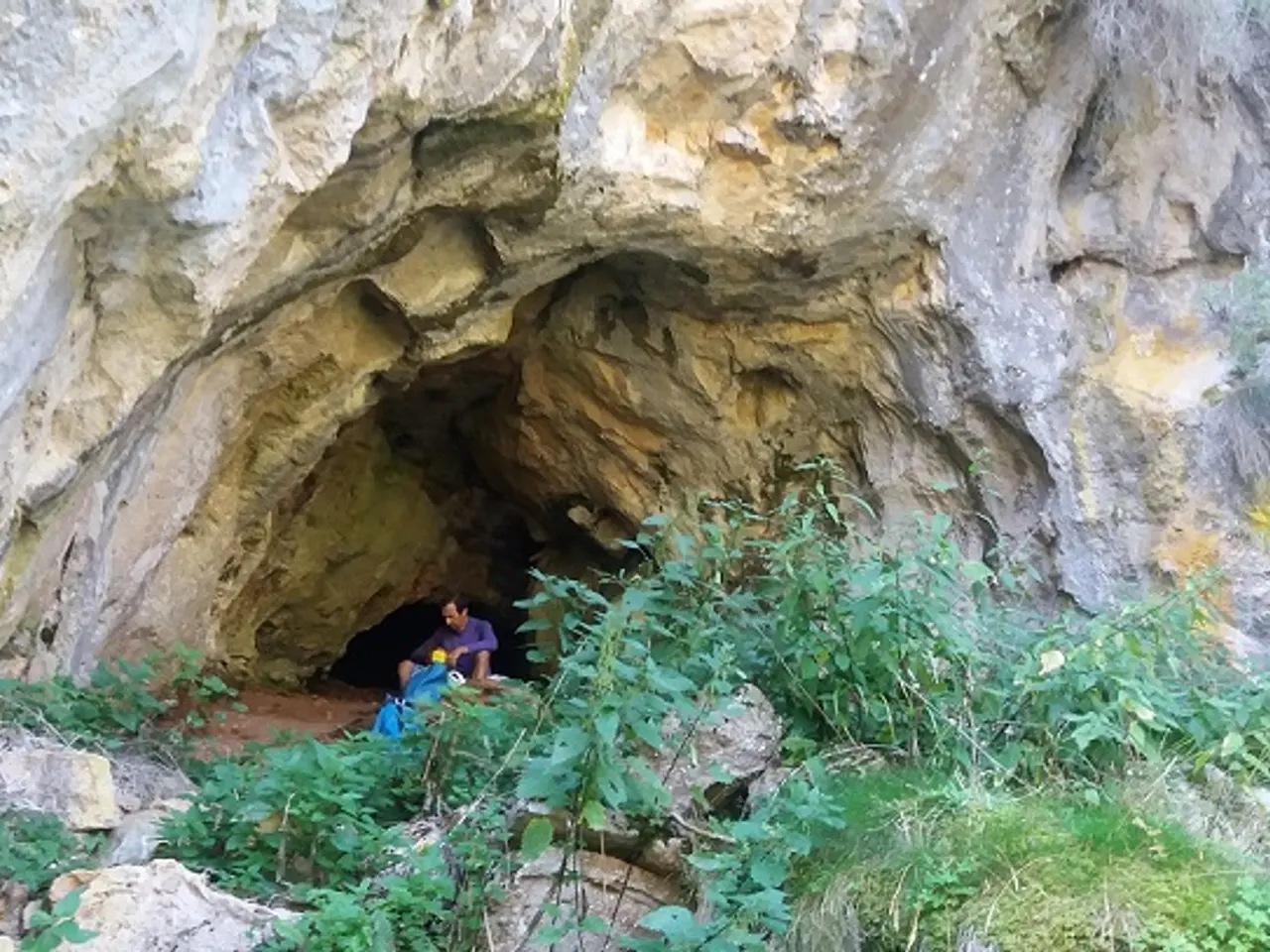 Photograph of PALOMERA, COVA
