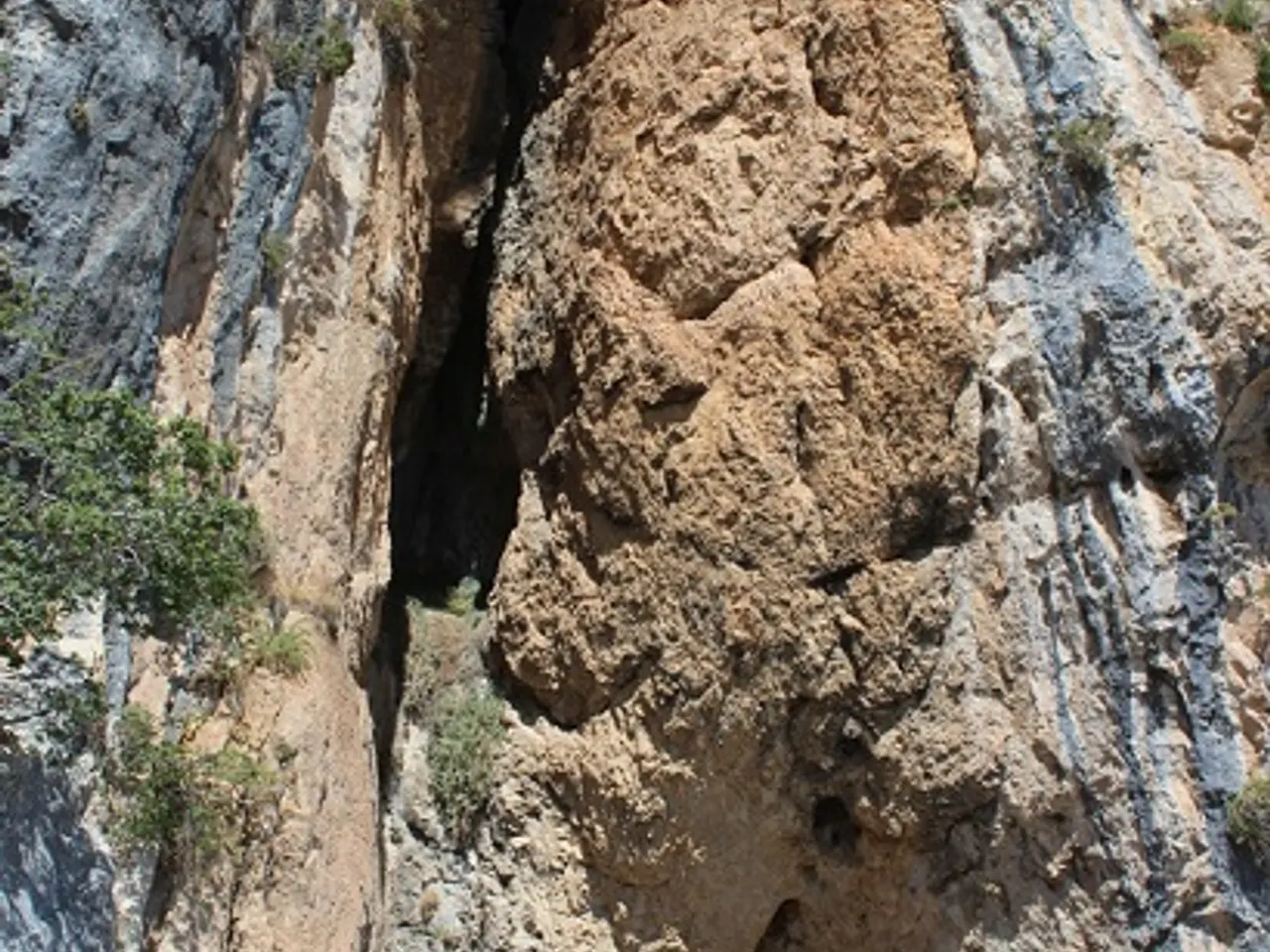 Photograph of FOSCA DE SANT GERVÀS, COVA