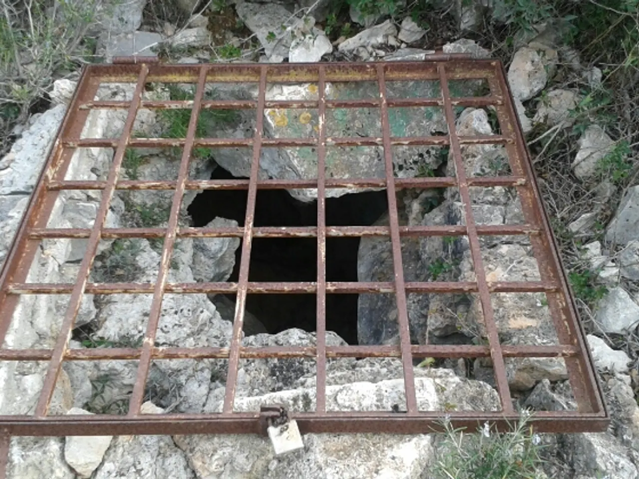 Fotografia de TENDO, COVA DEL