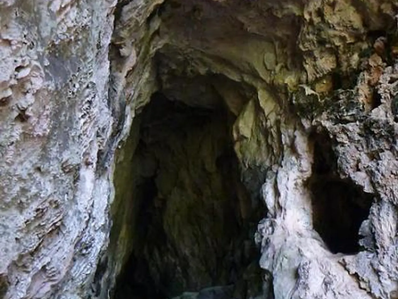 Photograph of GORJA DEL GAIÀ, COVA DE LA