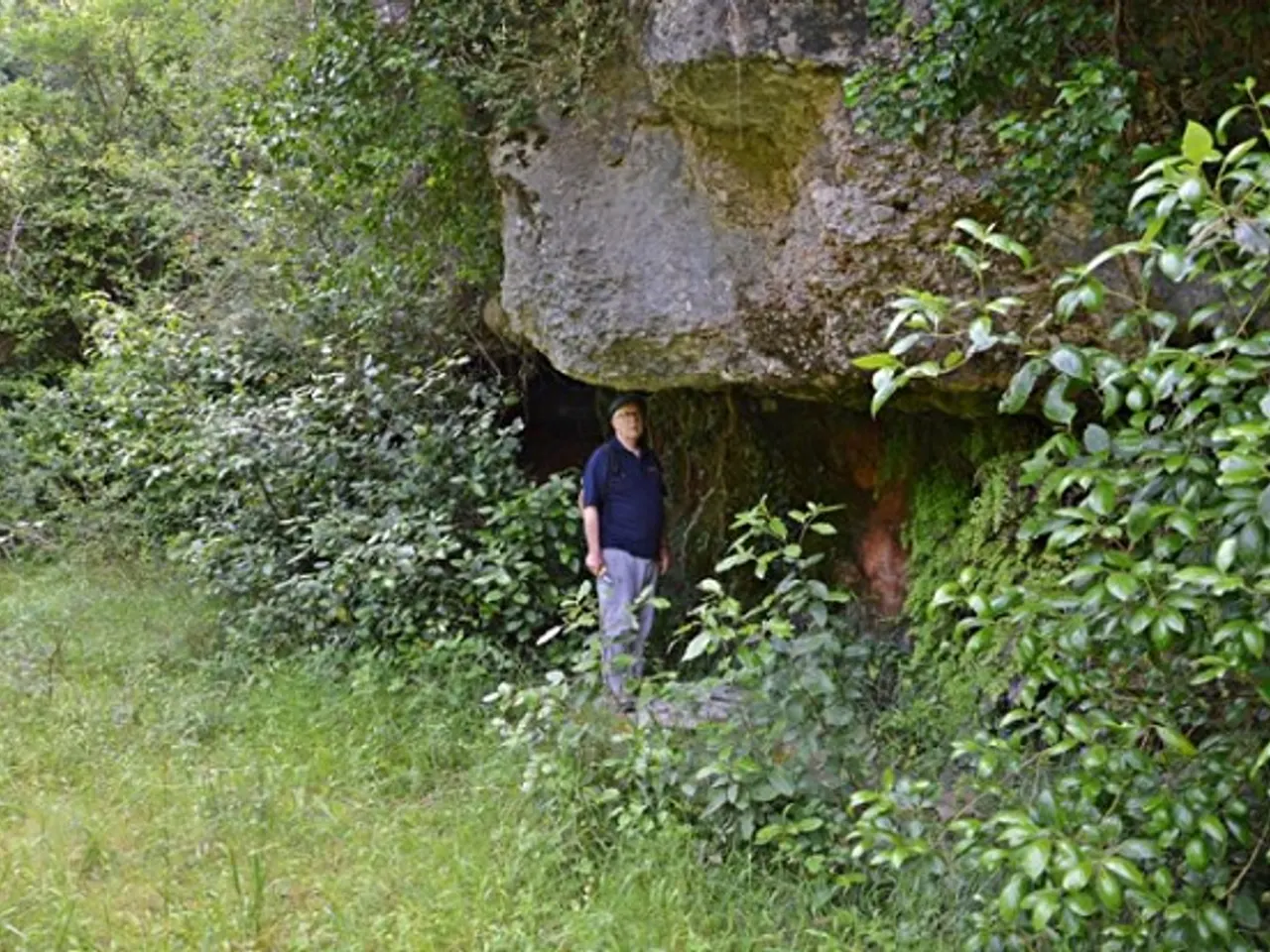 Fotografia de FORANCA, LA