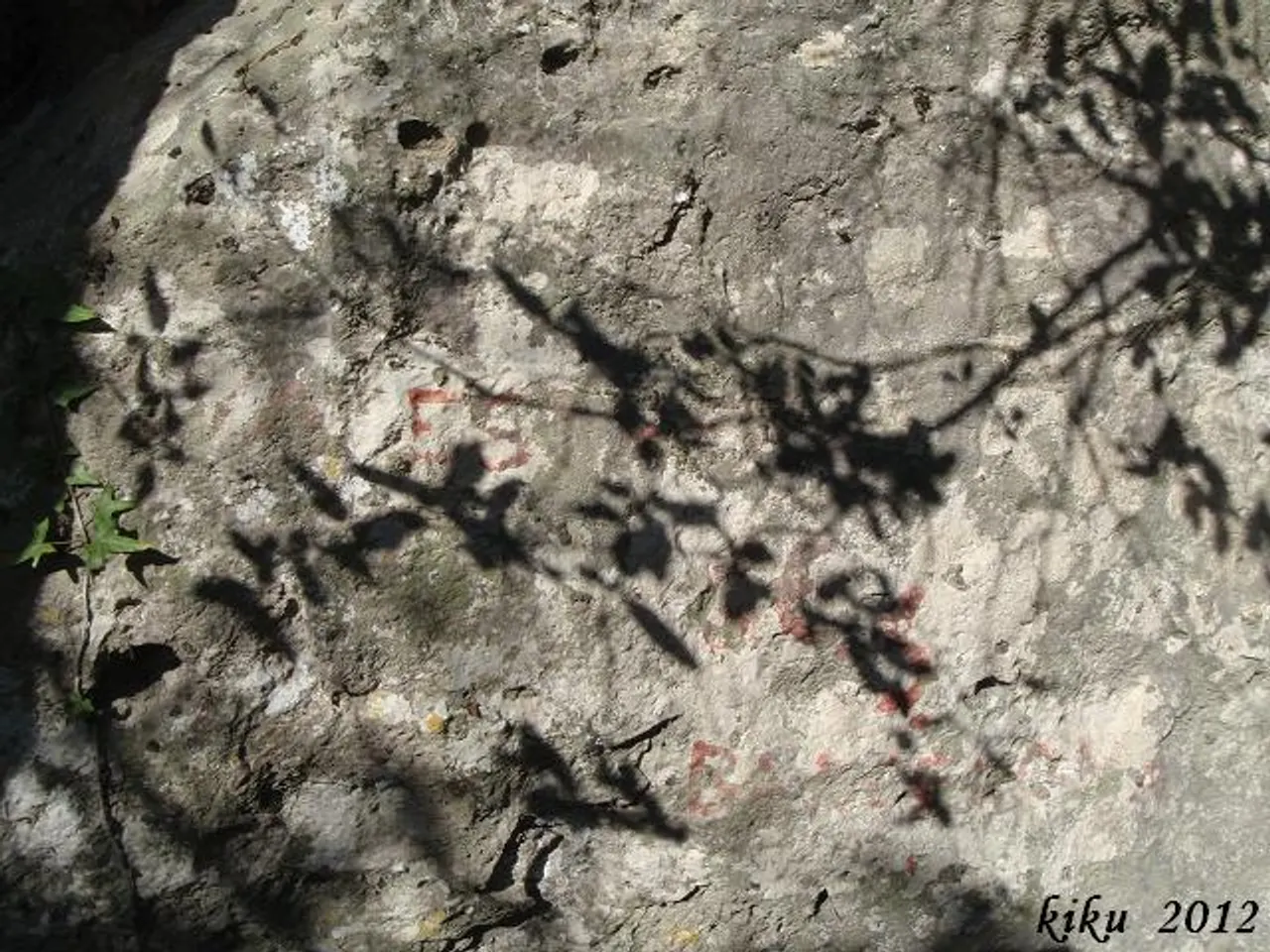 Photograph of ESQUERDA, COVA DE L'