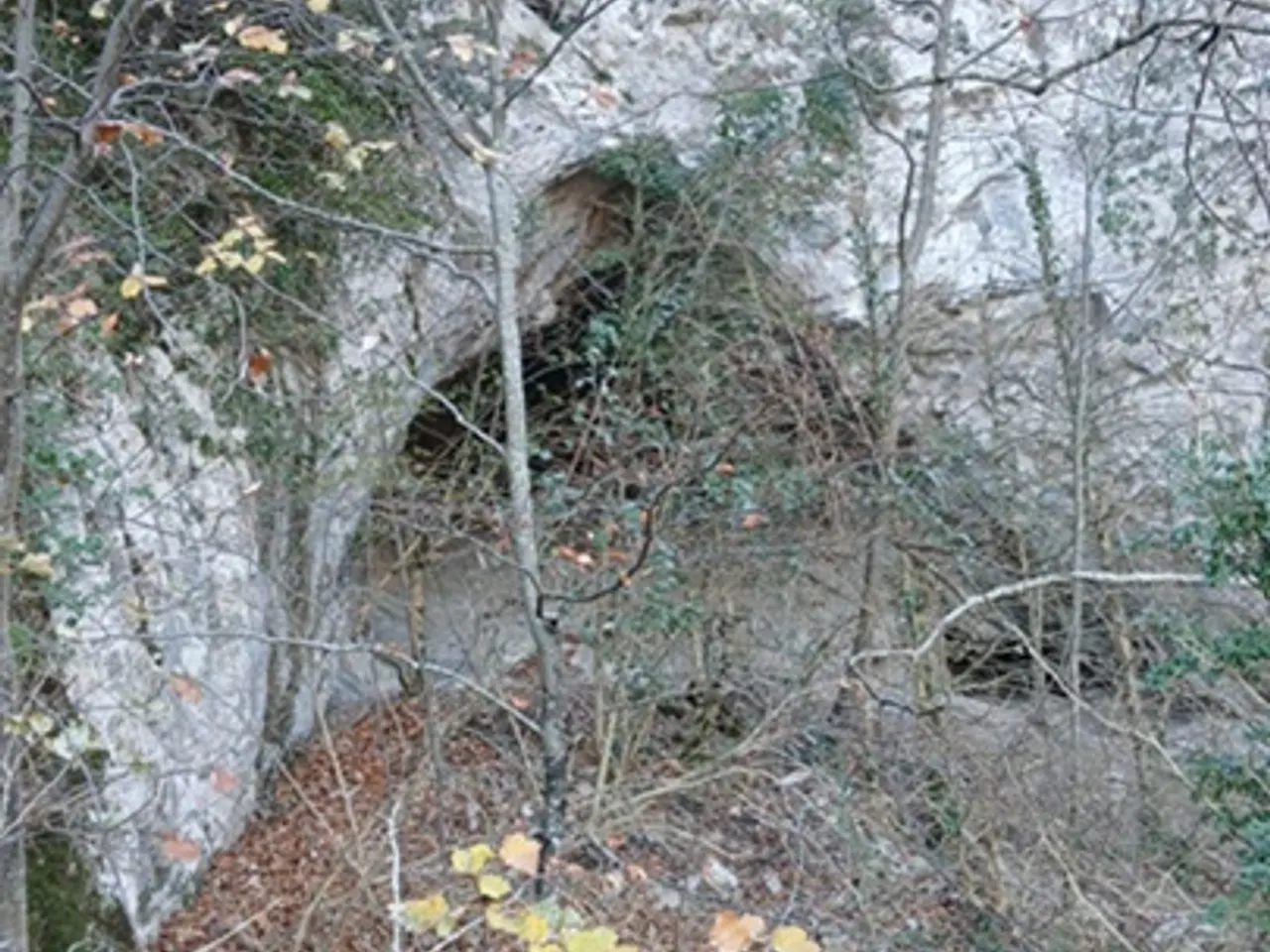 Fotografía de TARTERES, COVA DE LES