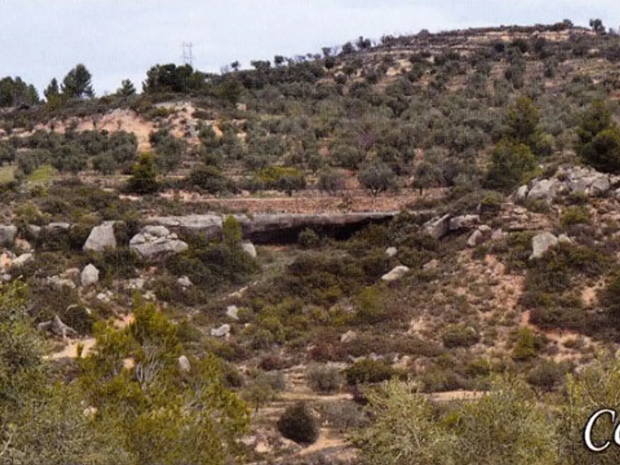 Photograph of MOIÀ, COVA DEL