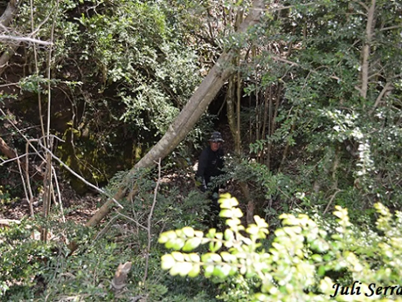 Fotografia de FUSÓ, FORAT DEL