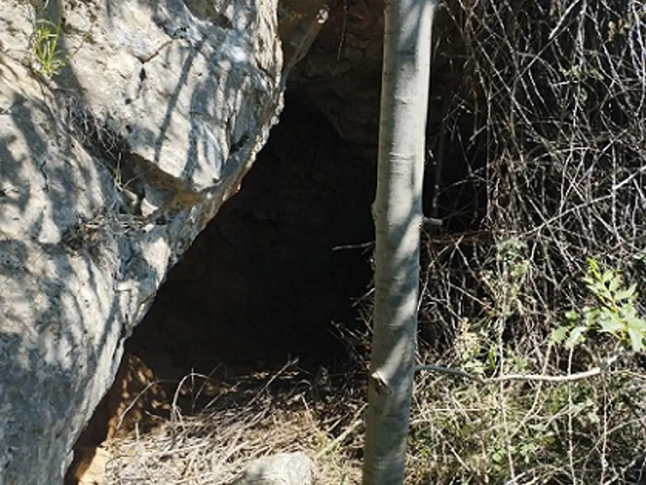 Photograph of ESPINOSA, COVA DE L'