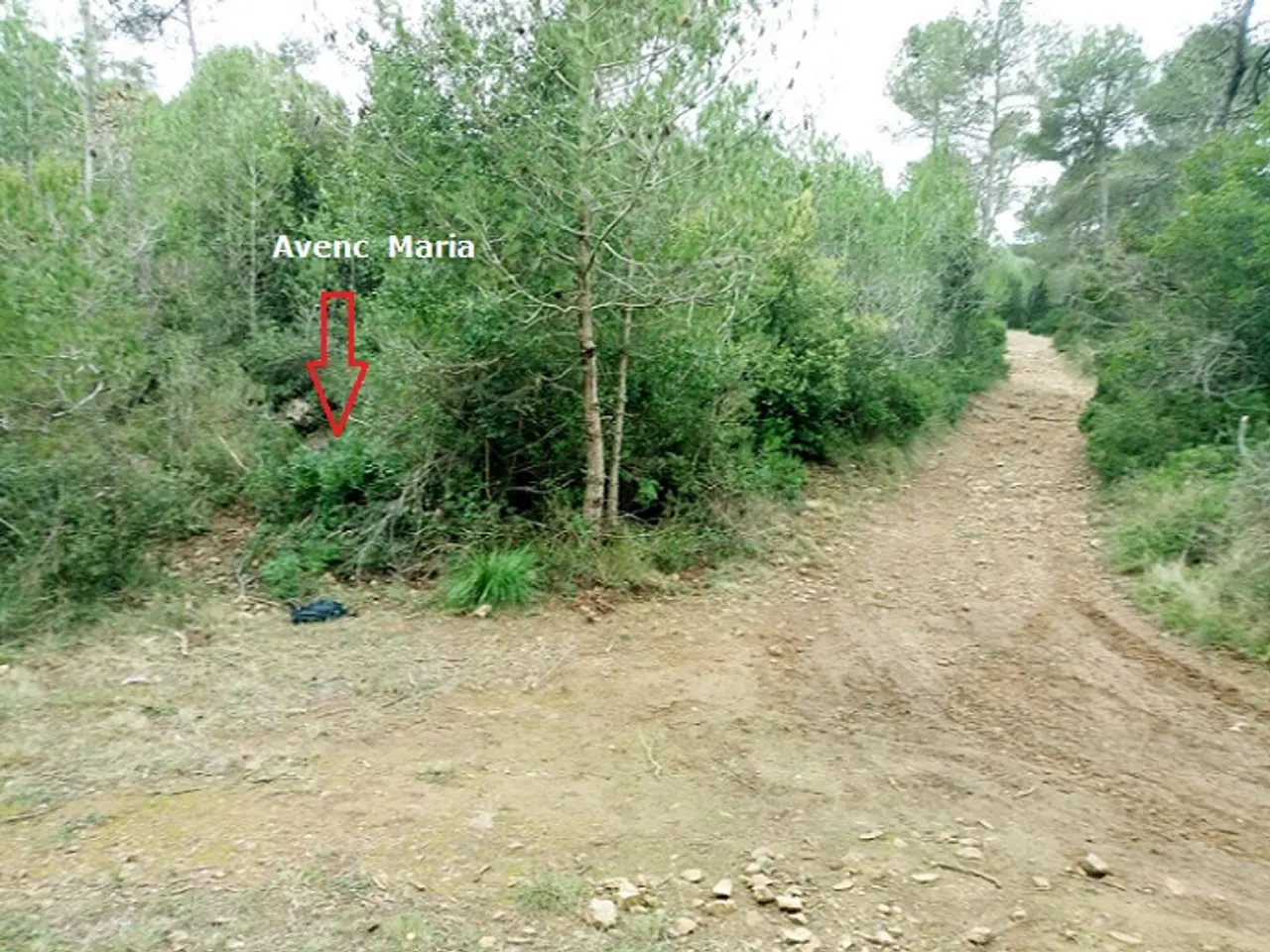 Fotografía de MARIA, AVENC