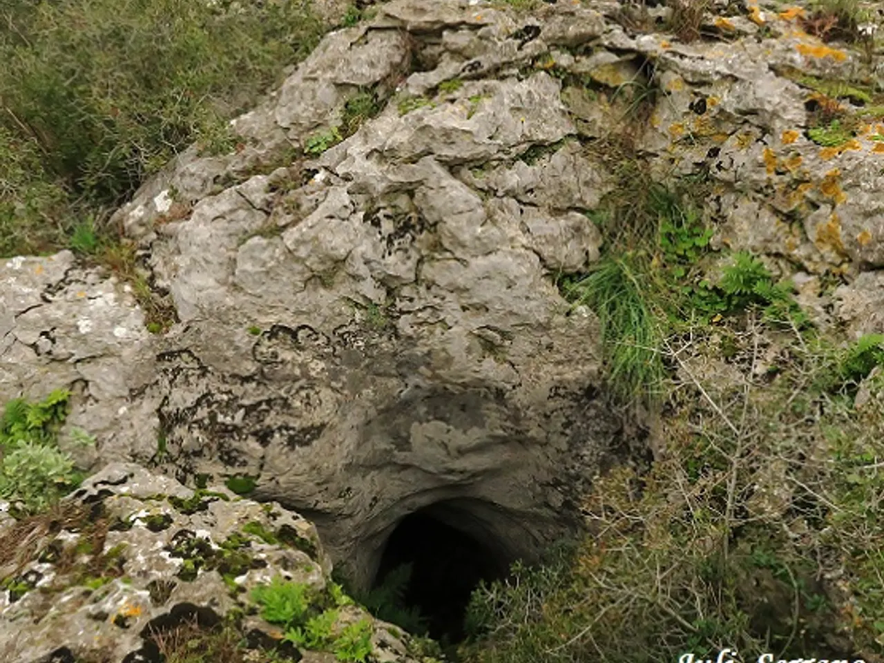 Photographie de CISTERNONS, CAU OEST DELS