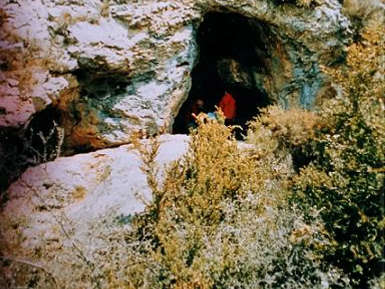 Photograph of FESOLERETS, COVA DE