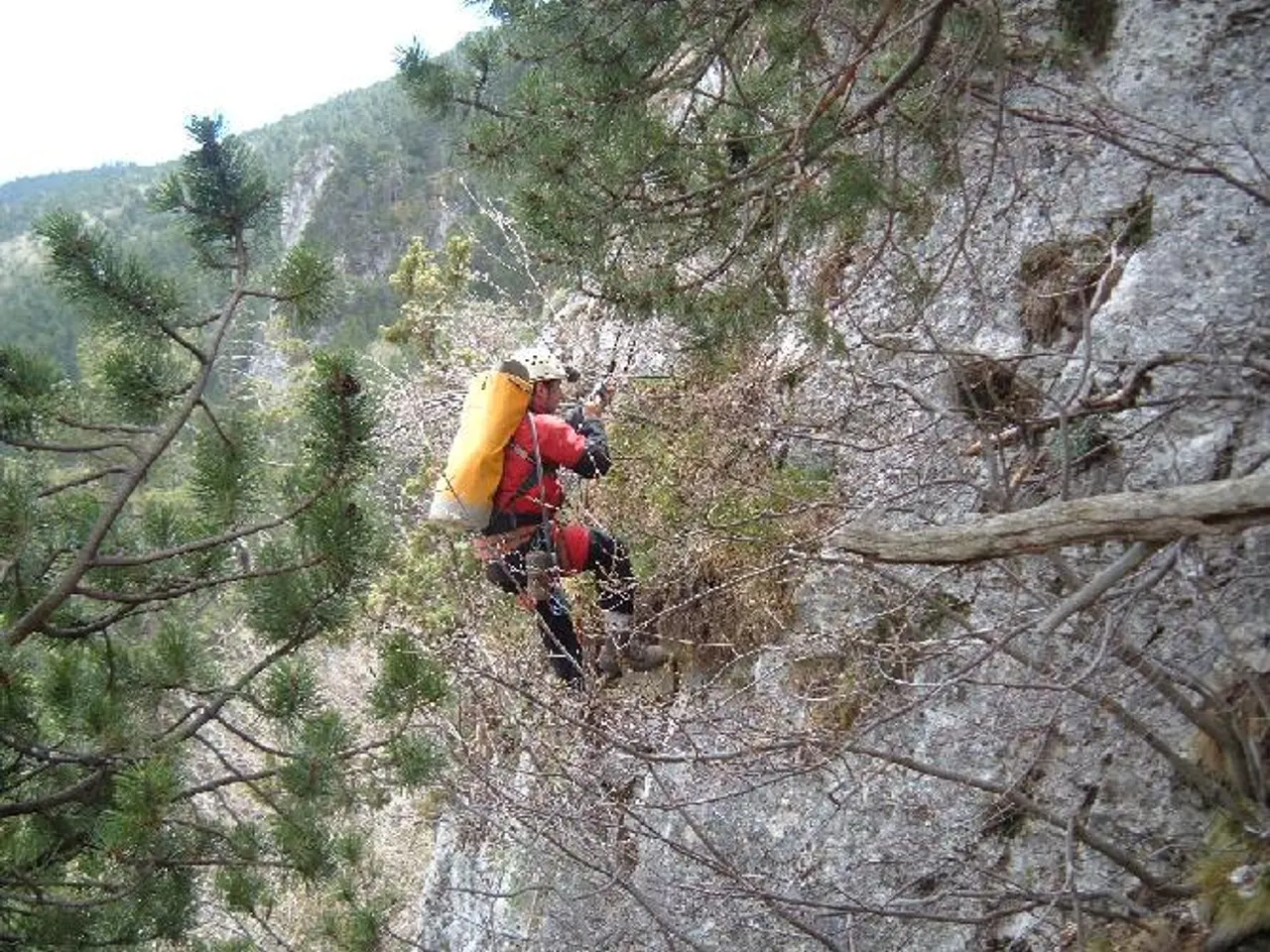 Fotografia de TRONC, AVENC DEL