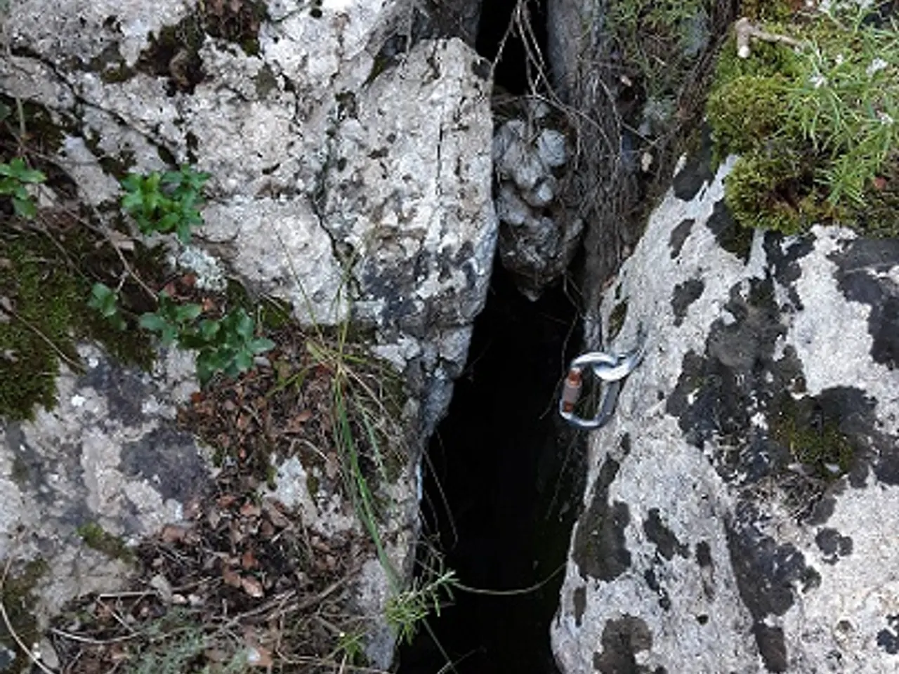 Fotografia de MAS DE LES FONTS, ESQUERDA Nº 1 DEL
