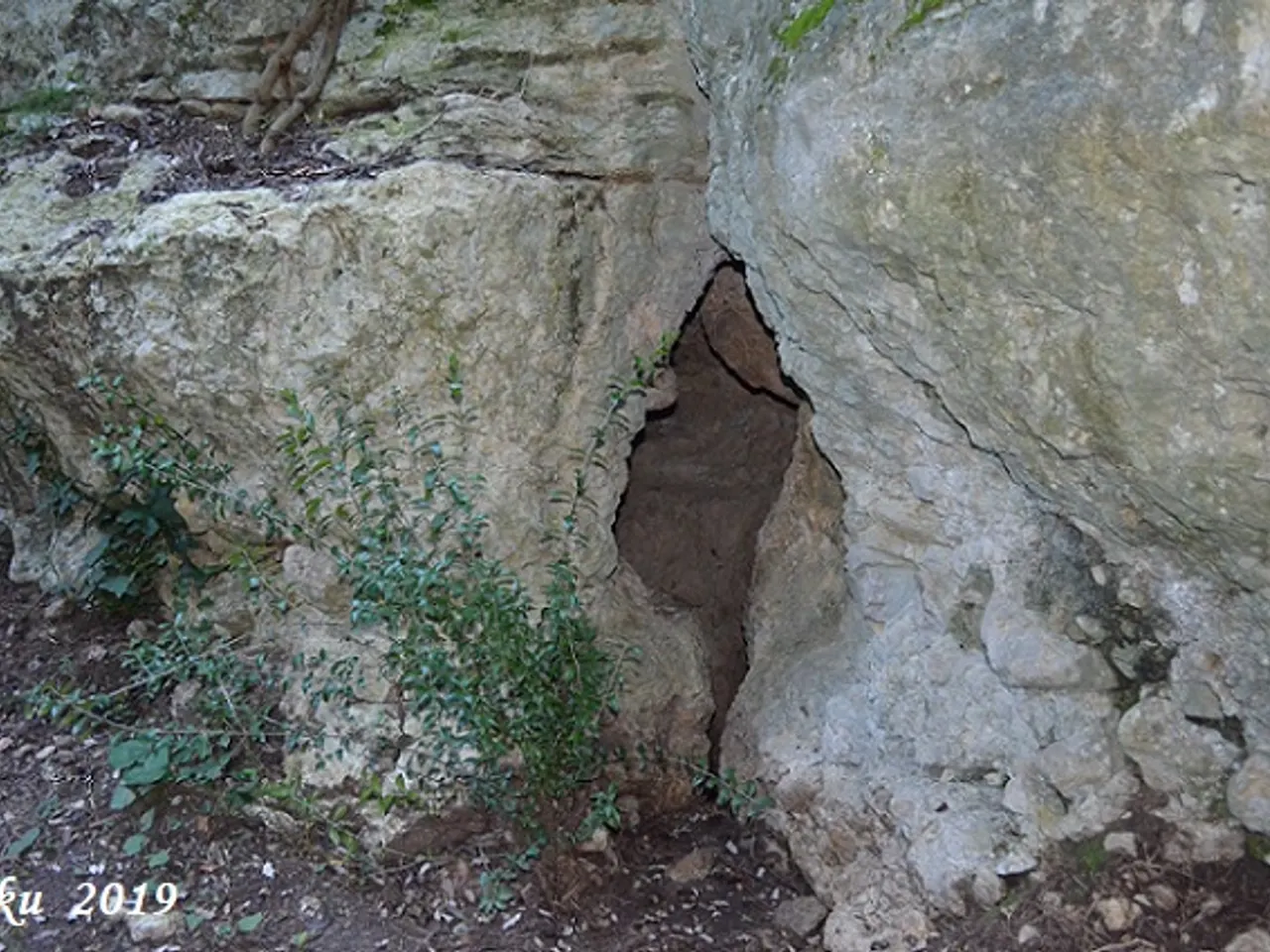 Photograph of FONT DE SANT LLORENÇ, COVA DE LA