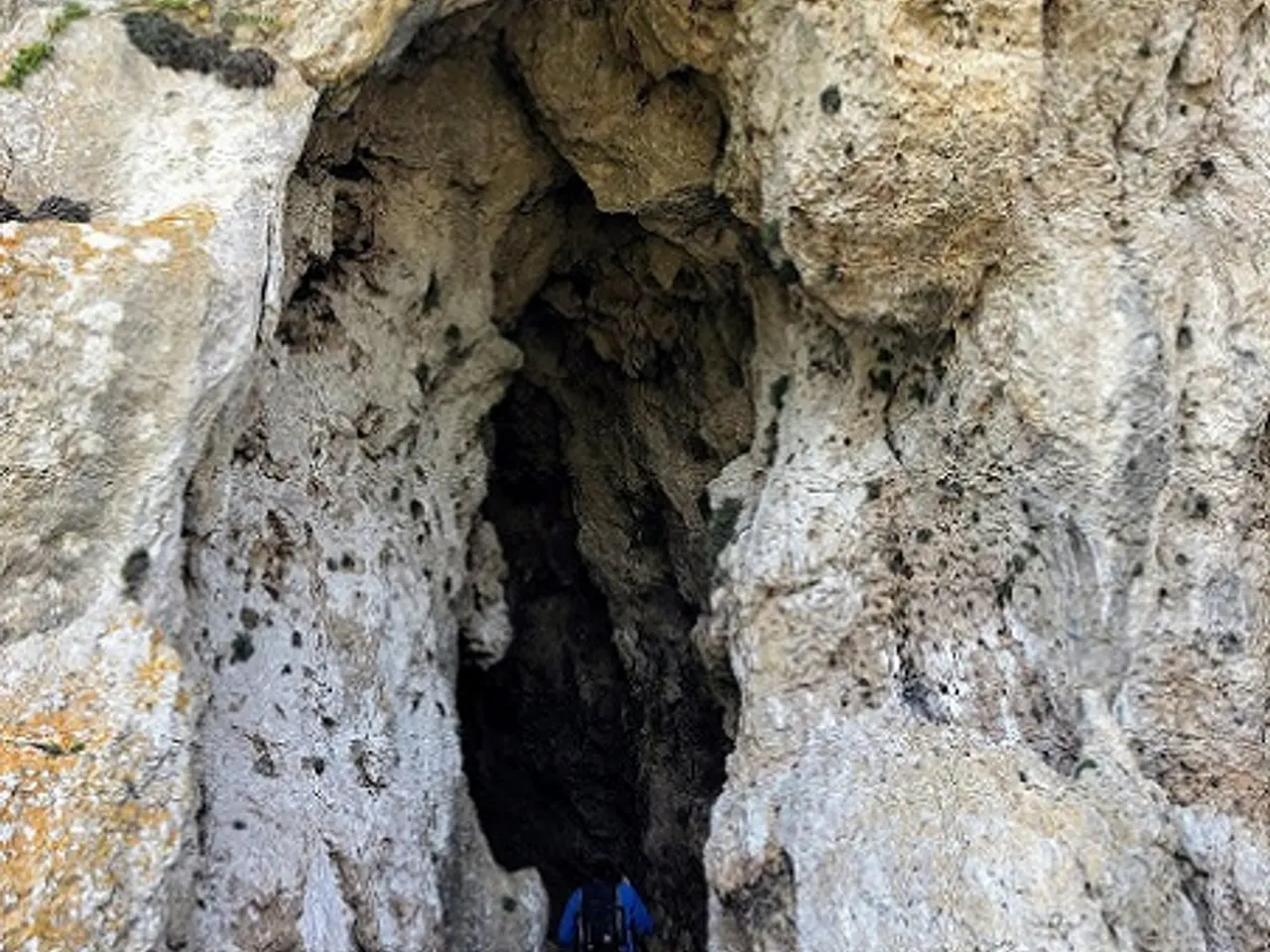 Photograph of LLÒBREGA, COVA