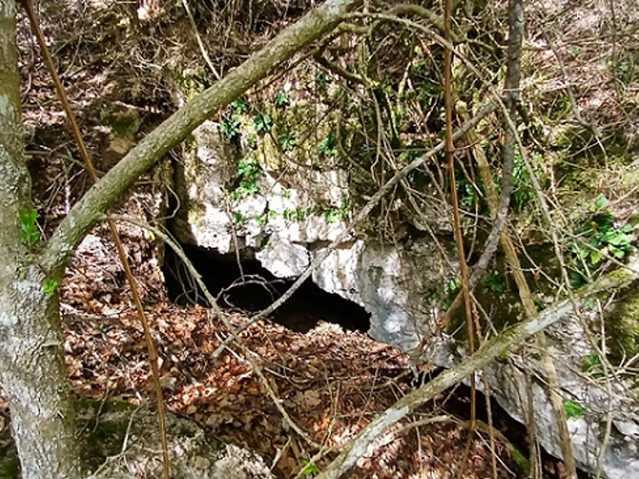 Fotografia de REC DE LES MUNTANYETES, COVA DEL