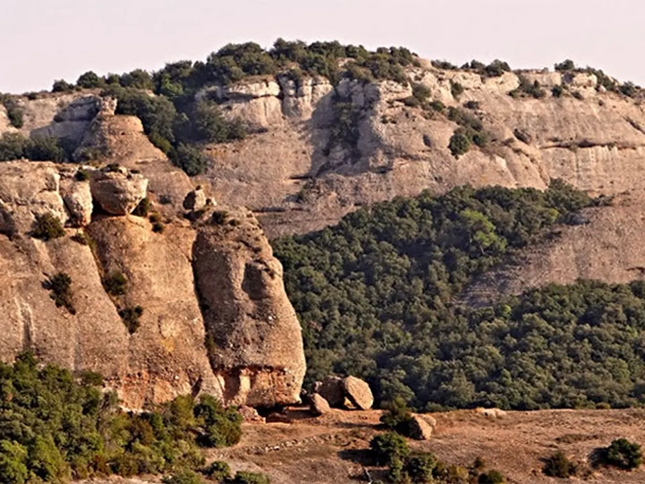 Fotografia de PORQUERISSA, LA