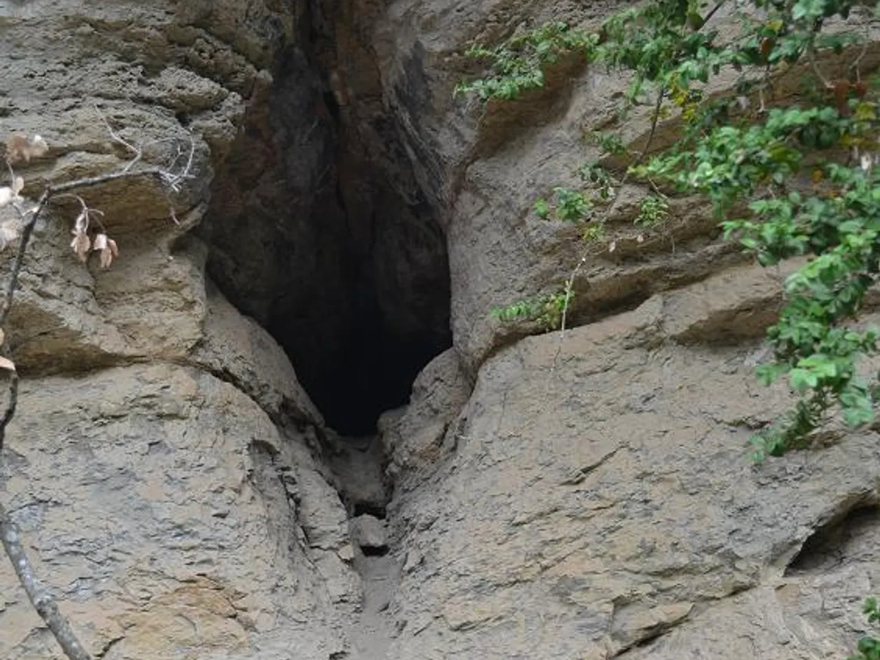 Fotografia de SANT FELIU, COVA DE