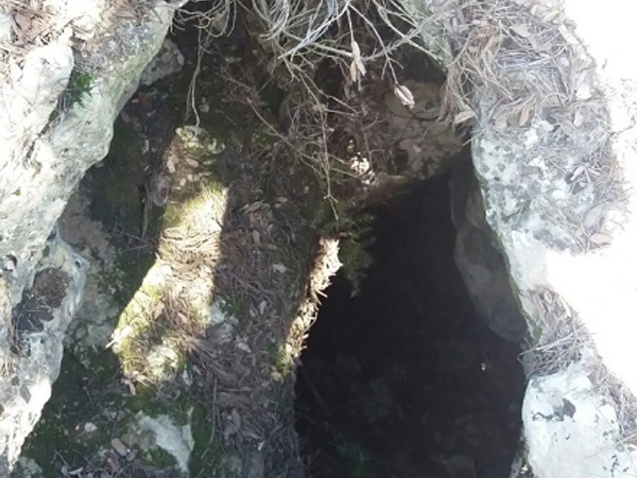 Fotografia de MASSEGA, COVA