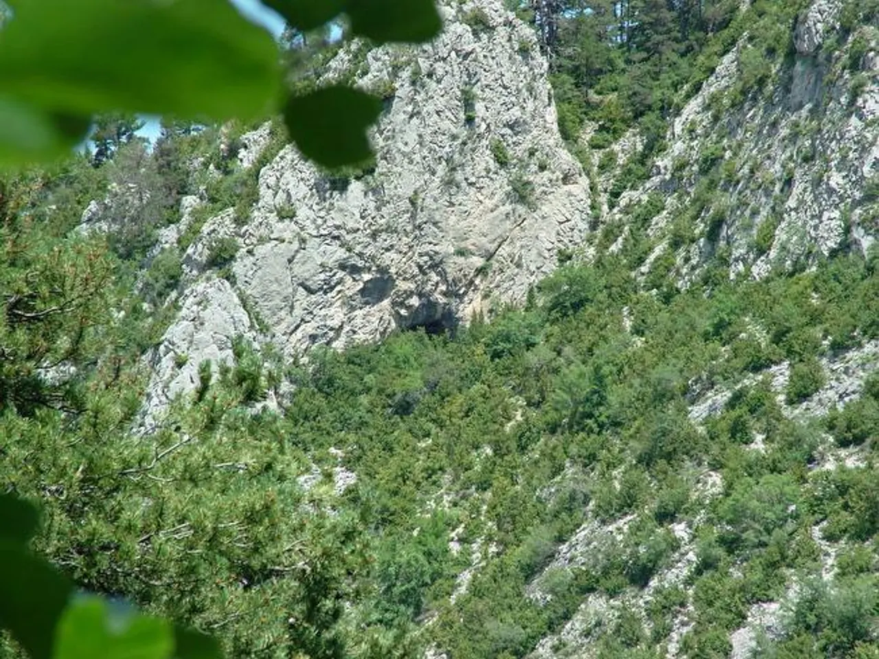 Photograph of AMAGADA DEL SAÜC, BALMA