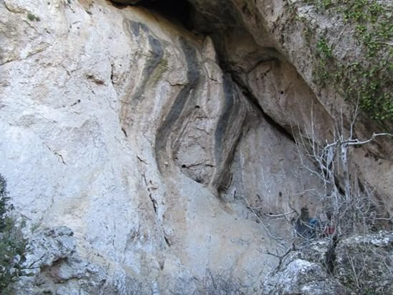 Fotografía de COLOM, COVA DEL