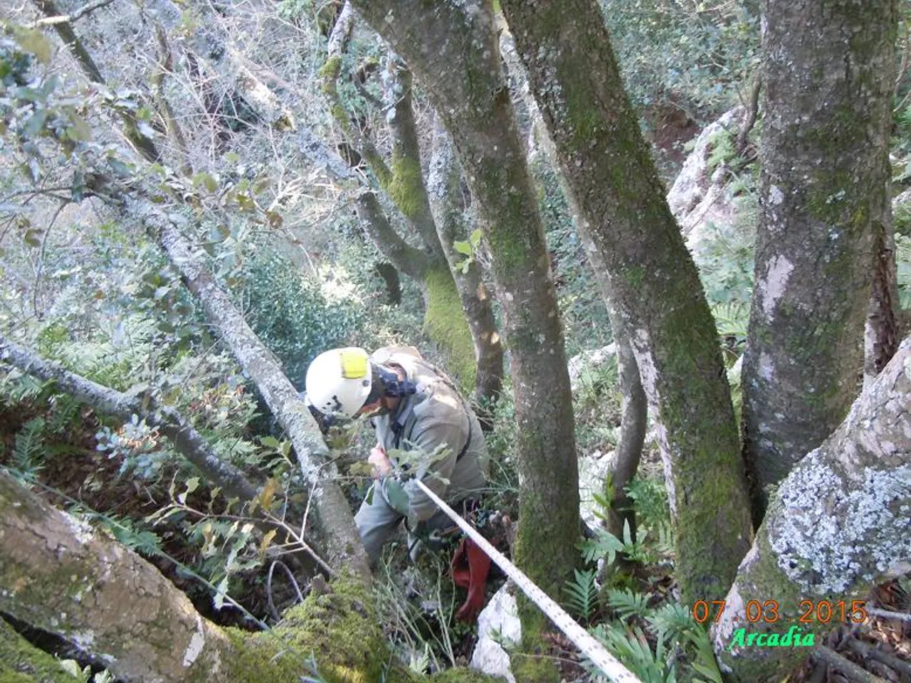 Fotografia de ENCANTATS, COVA PETITA DELS