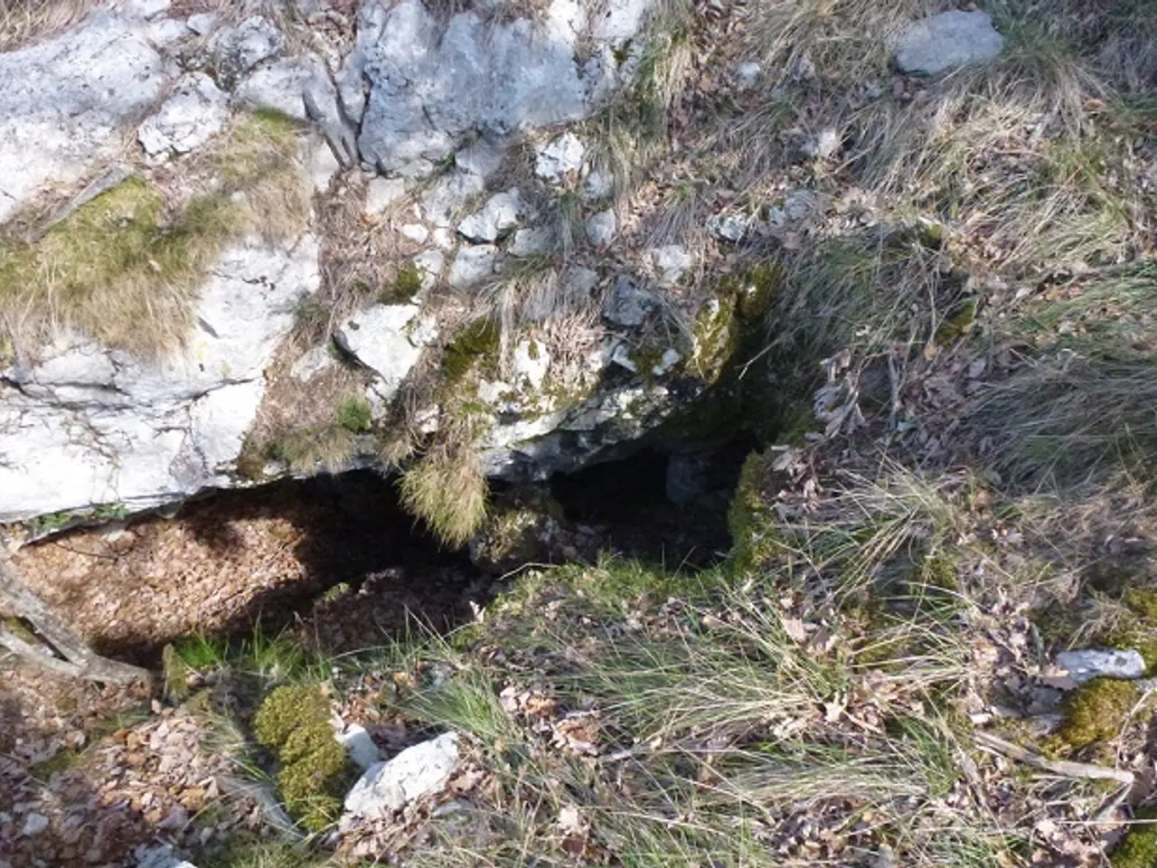 Fotografia de BAGA DEL GINEBRET 10, FORAT DE LA