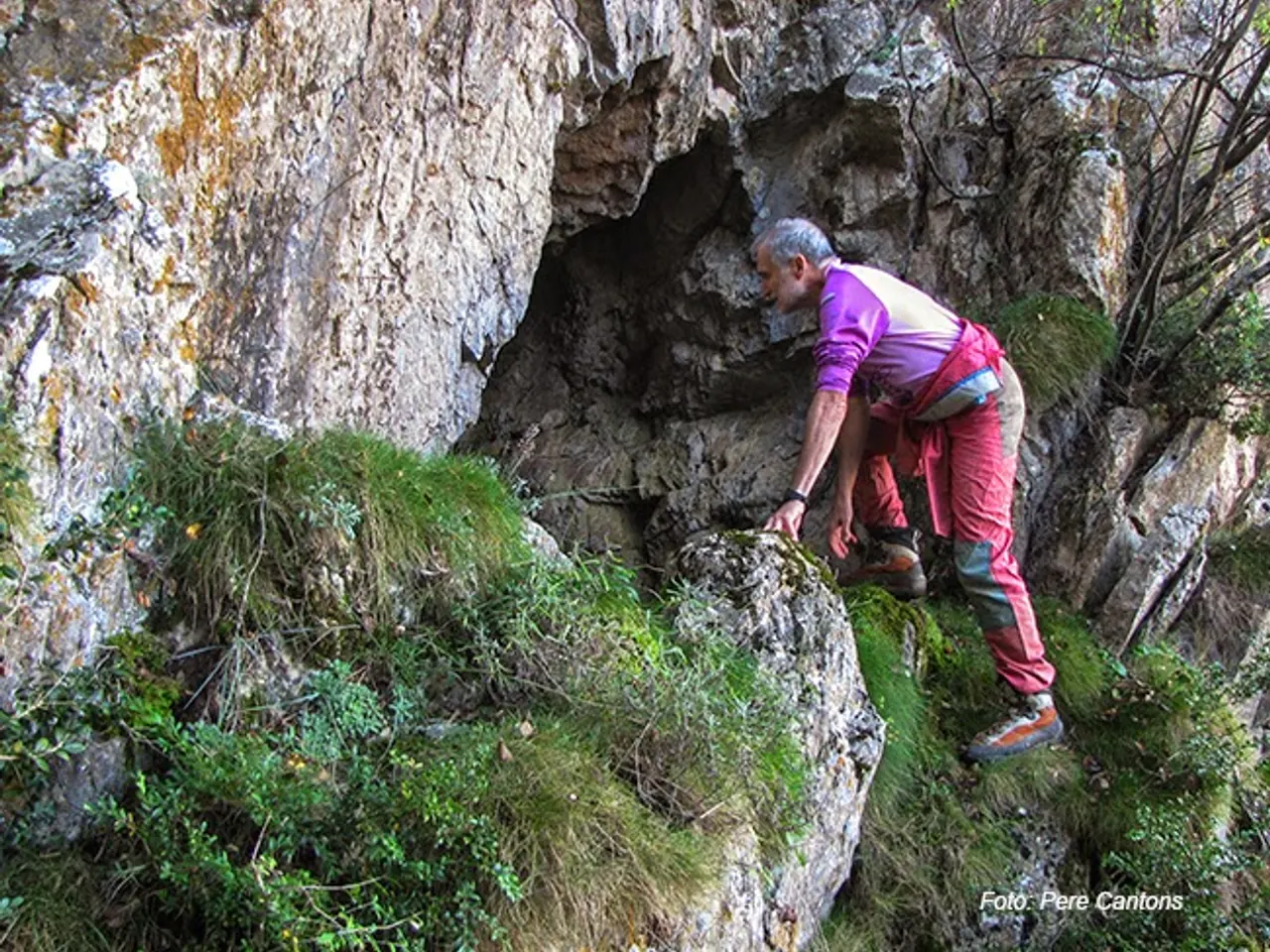 Photographie de COLLET DE NAS, FORAT DEL