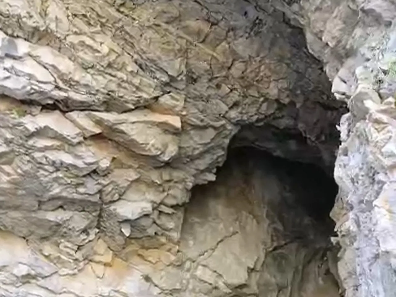 Fotografía de TORRENT DELS CORTILS, COVA DEL