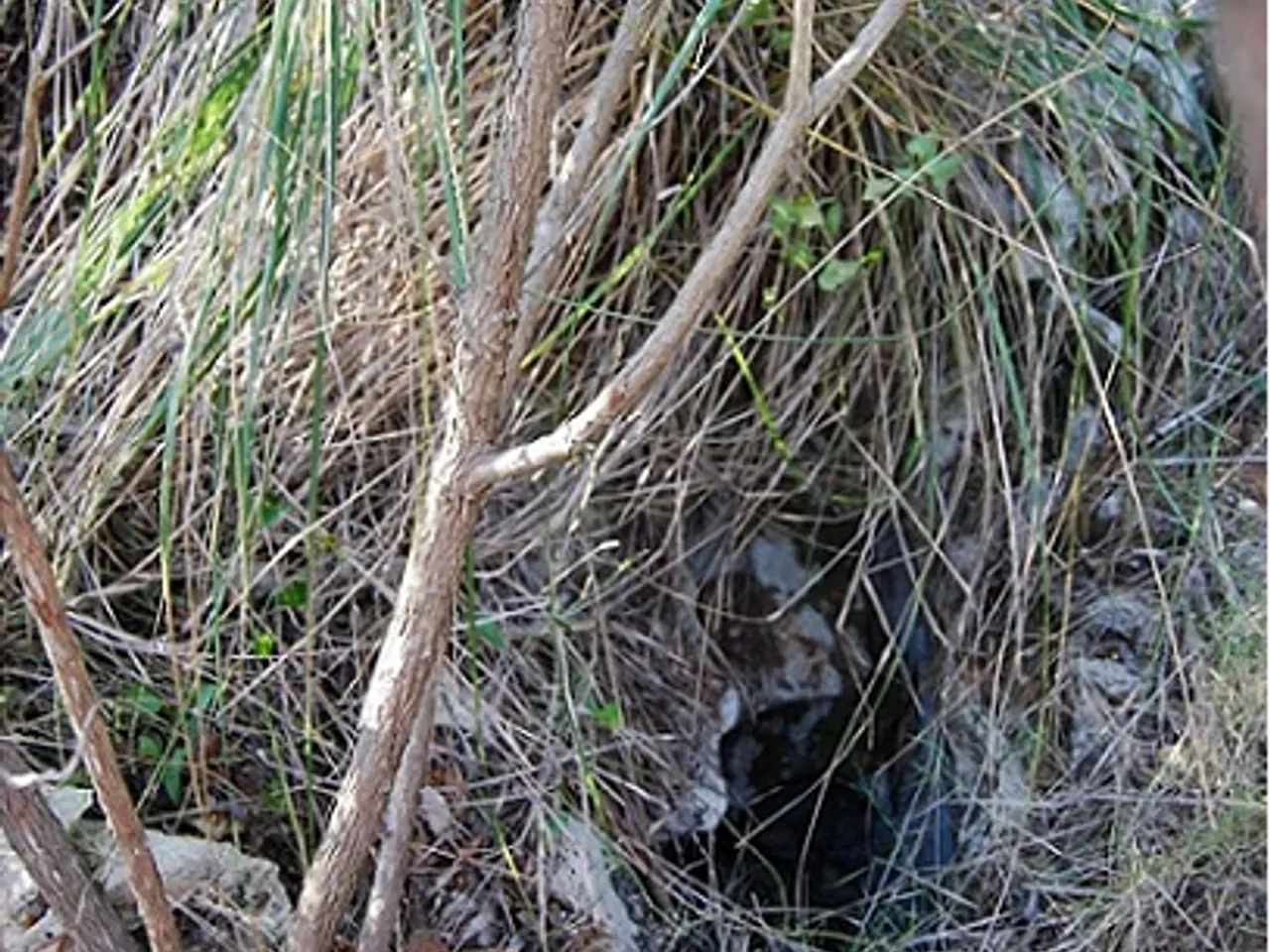 Fotografia de FERLETA, AVENC DE LA