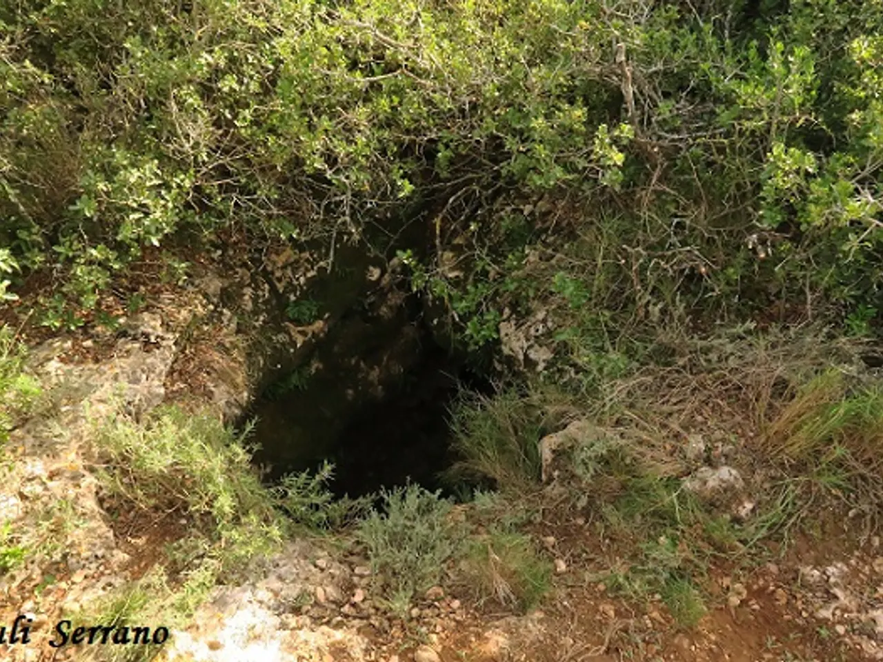 Fotografia de CAMÍ DE LES SENIOLES, AVENC DEL