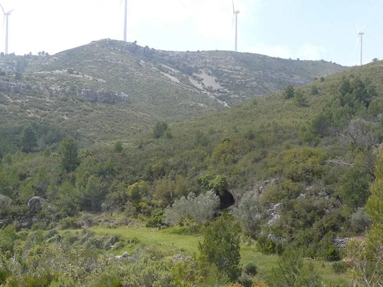 Fotografia de CALOBRES, COVA DE LES