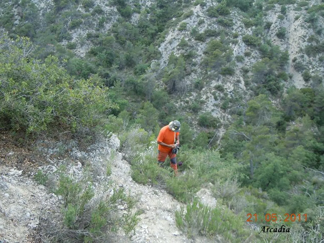 Fotografía de ENCONILLS, COVA DELS