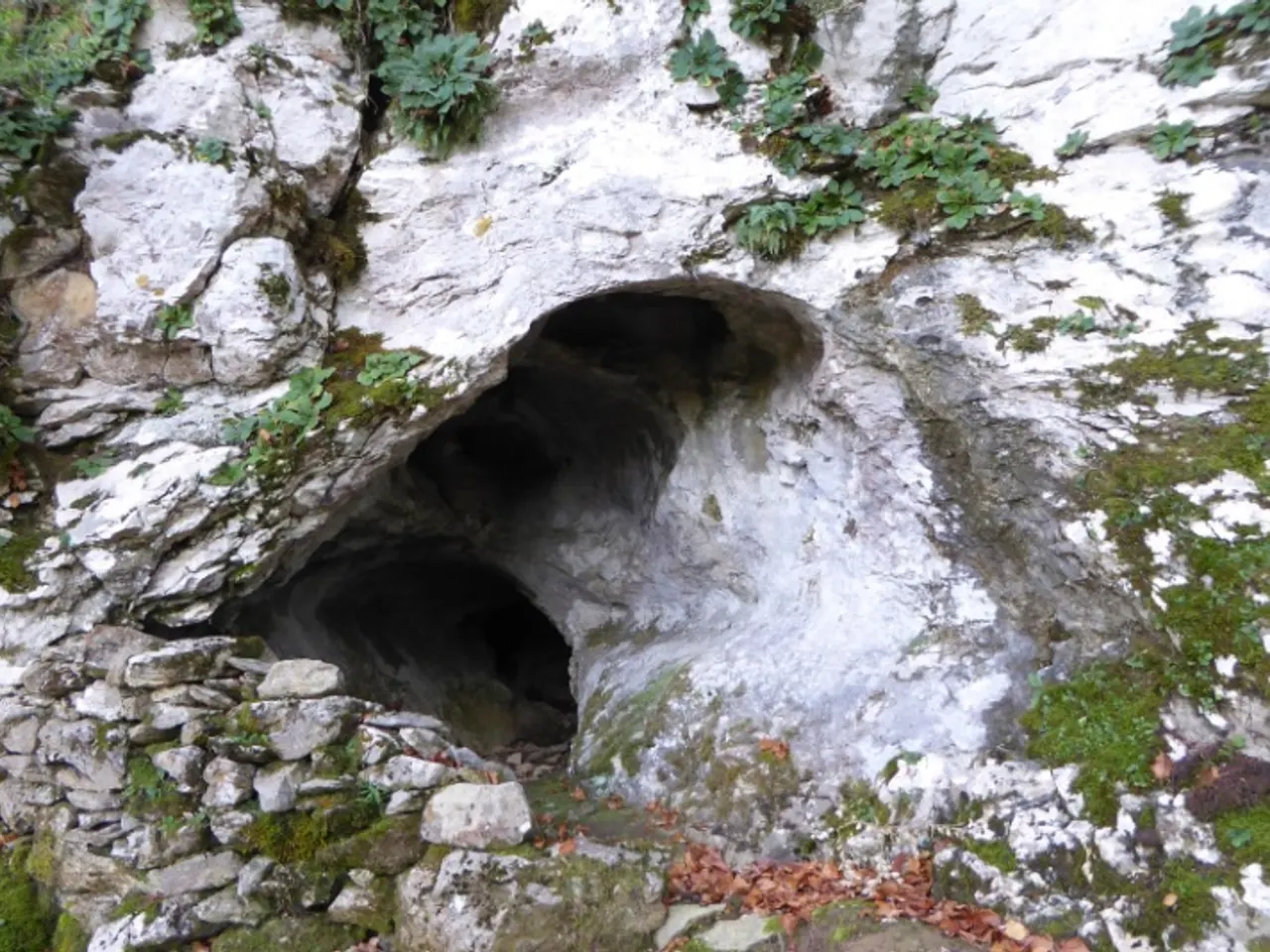 Fotografia de MASSOT, COVA D'EN