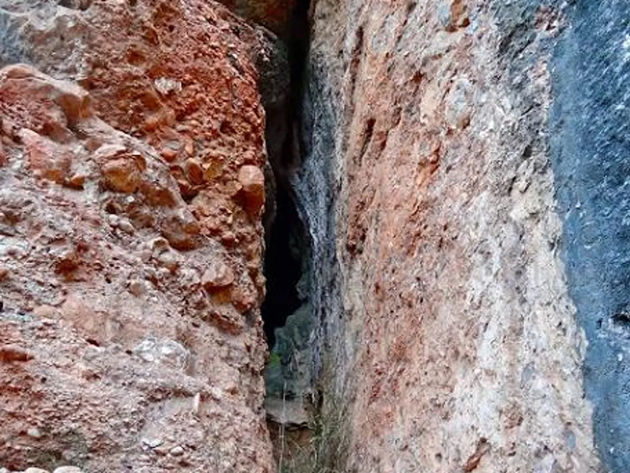 Fotografia de XICA, COVA