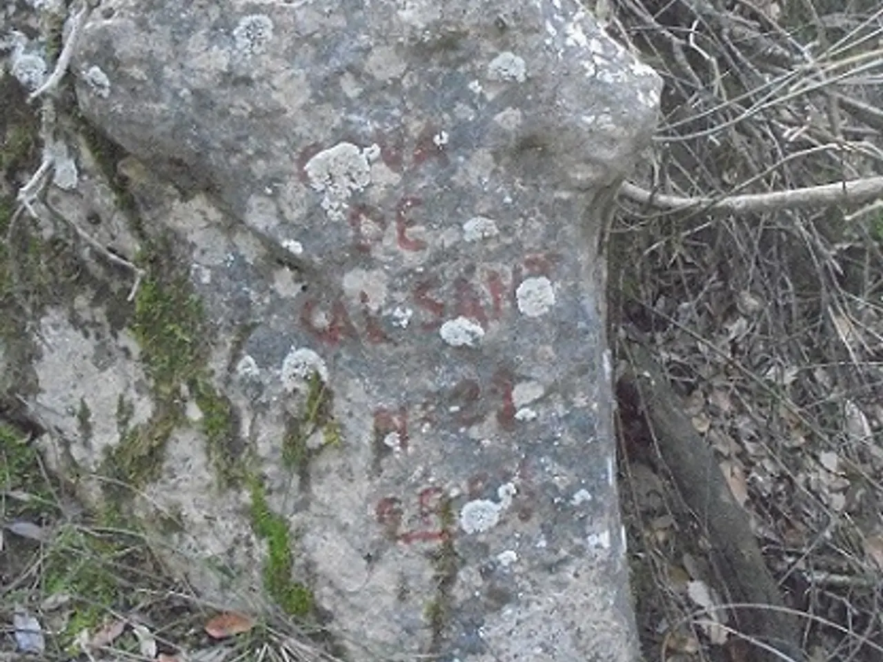 Fotografía de CAL SANT, COVA DE