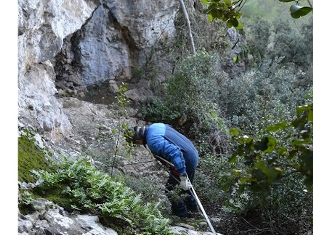 Photographie de BOUS, COVES DELS