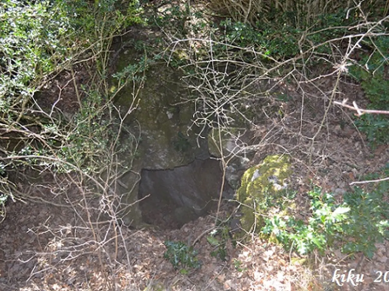 Photograph of GINA, FORAT DE LA