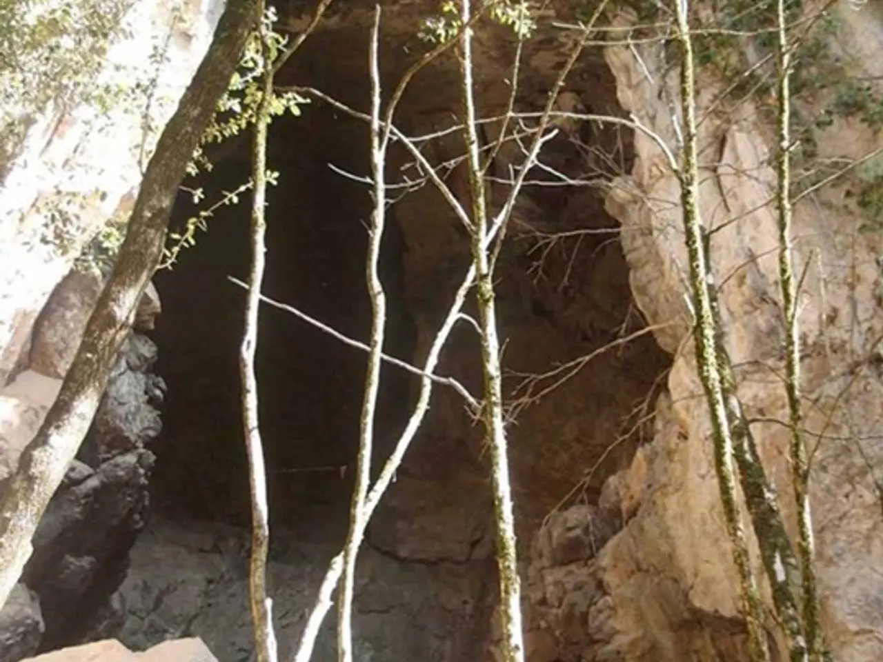 Fotografia de NEGRE D'ESCALES, FORAT