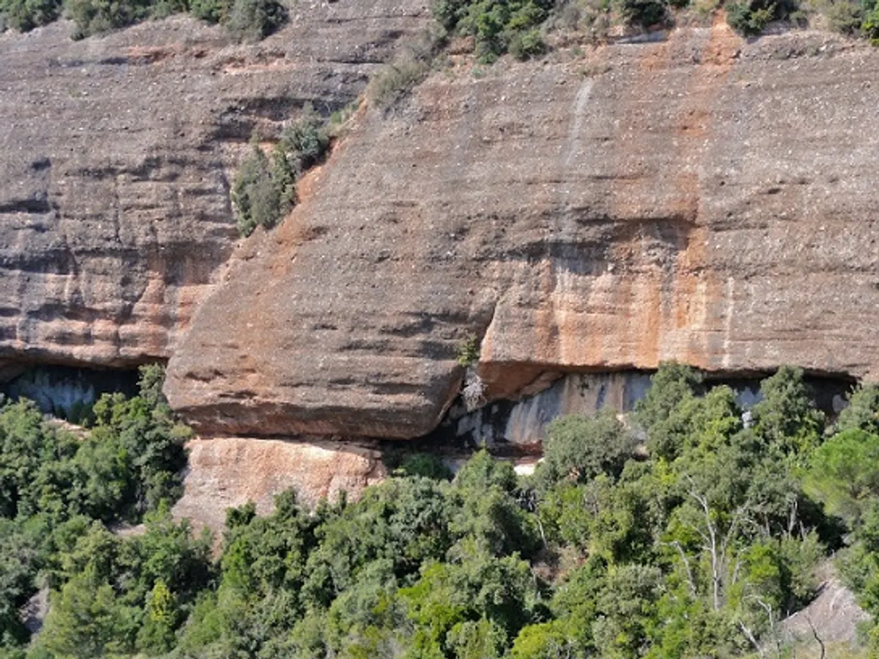 Fotografia de SOT DE LA CARDA, BALMA DEL