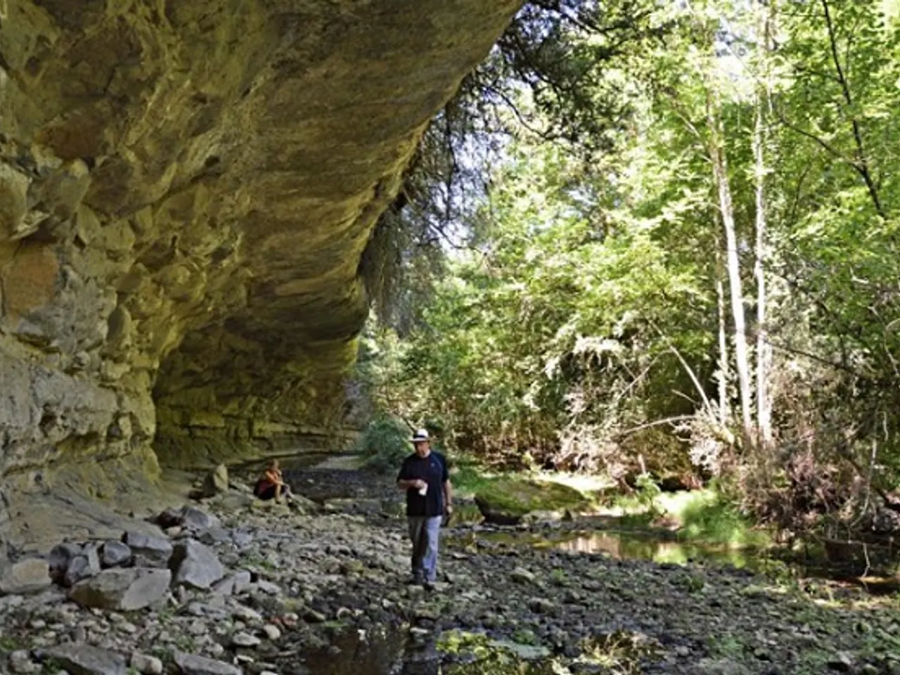 Photograph of TORRENT DE LA FÀBREGA, BAUMA DEL
