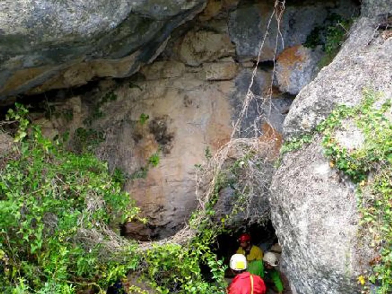 Fotografia de FONDA, COVA