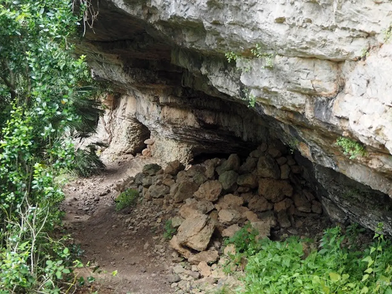 Fotografia de PASQUALÓ, COVA DEL